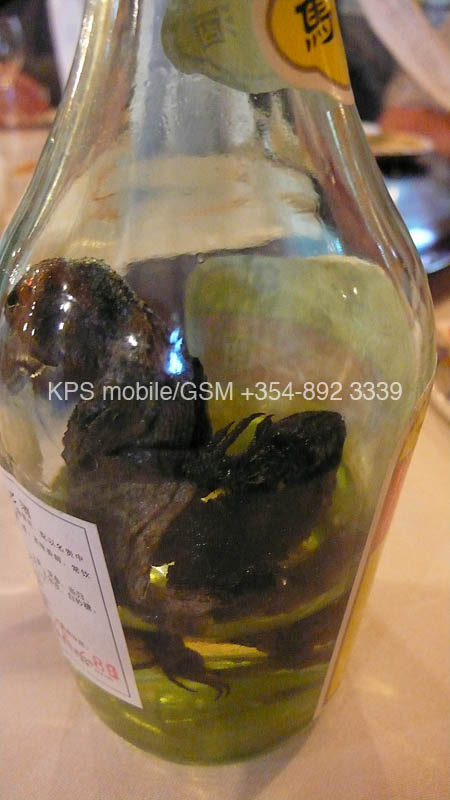 kps02070402