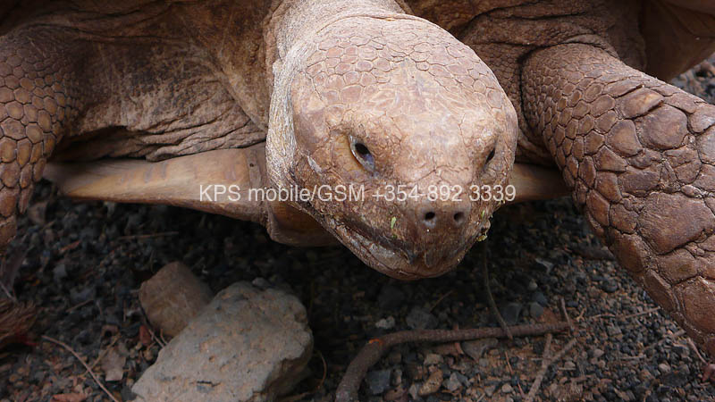 kps02070457