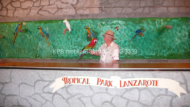 kps02070461