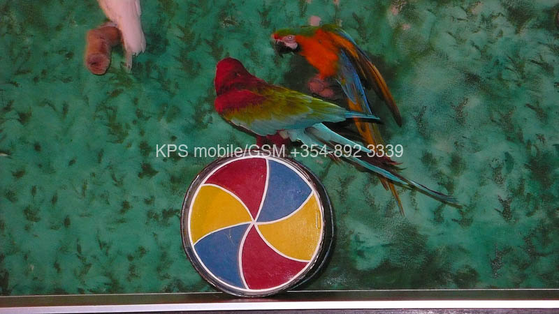 kps02070462
