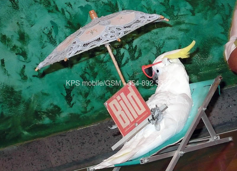 kps02070465