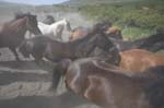 kps07070465
