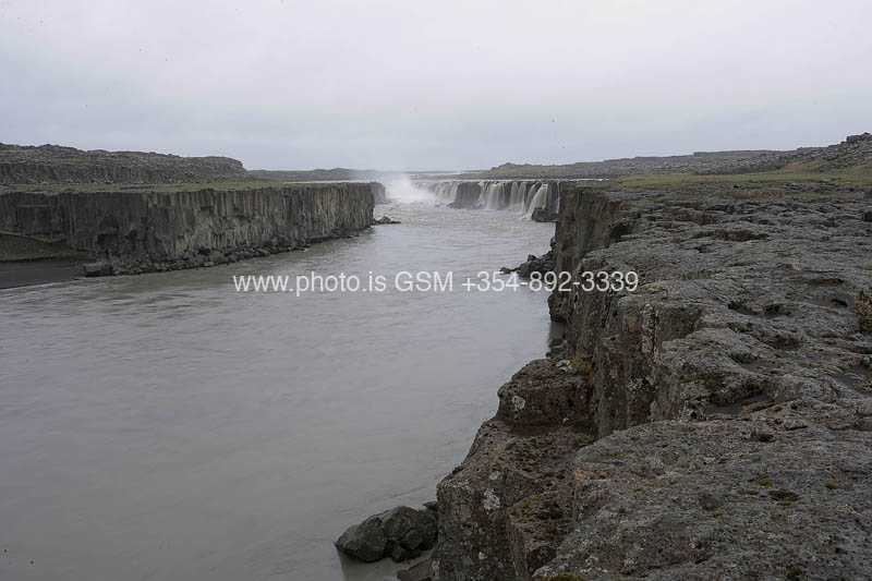 kps08070277