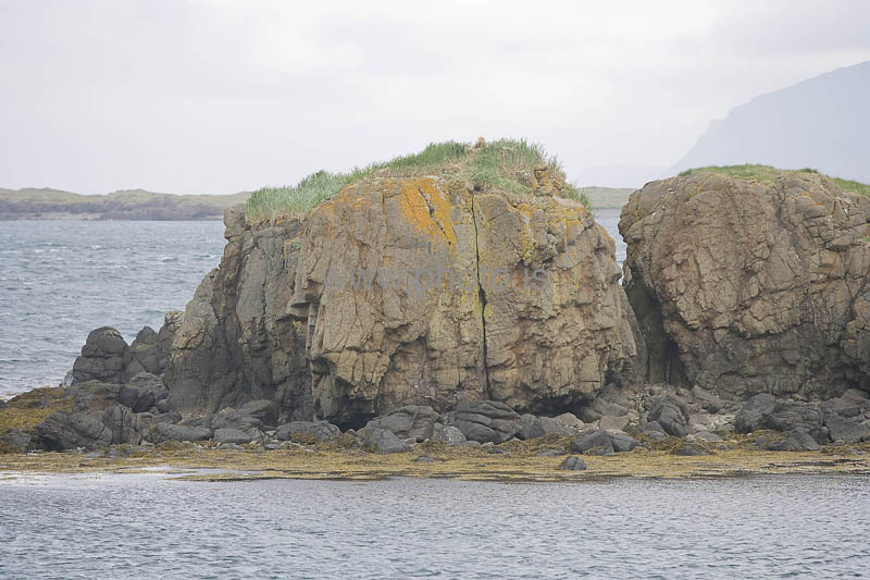 kps06082129