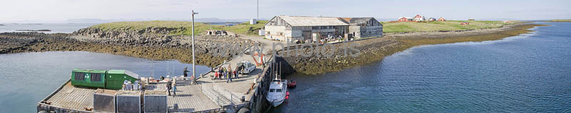 kps06082264p