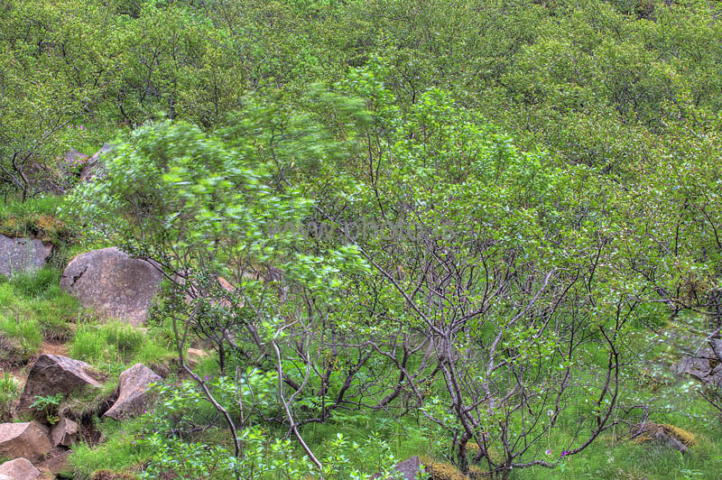 kps06096363_4_5hdr