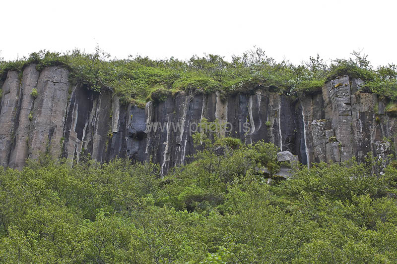 kps06096366