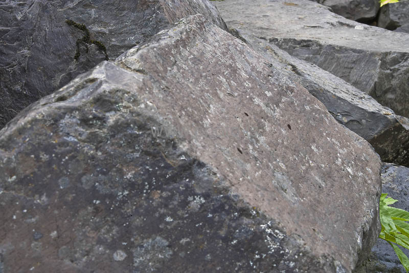 kps06096380