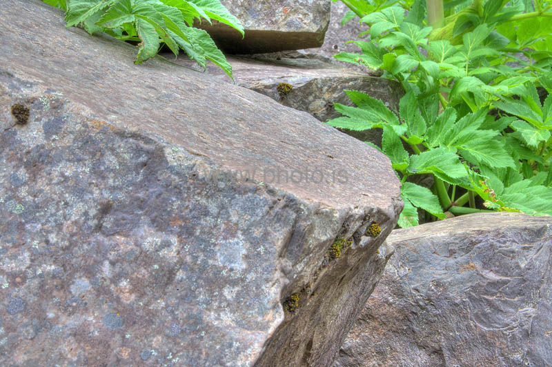 kps06096390_1_2hdr