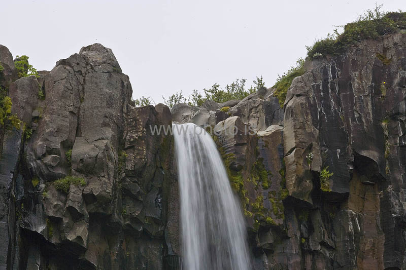 kps06096404