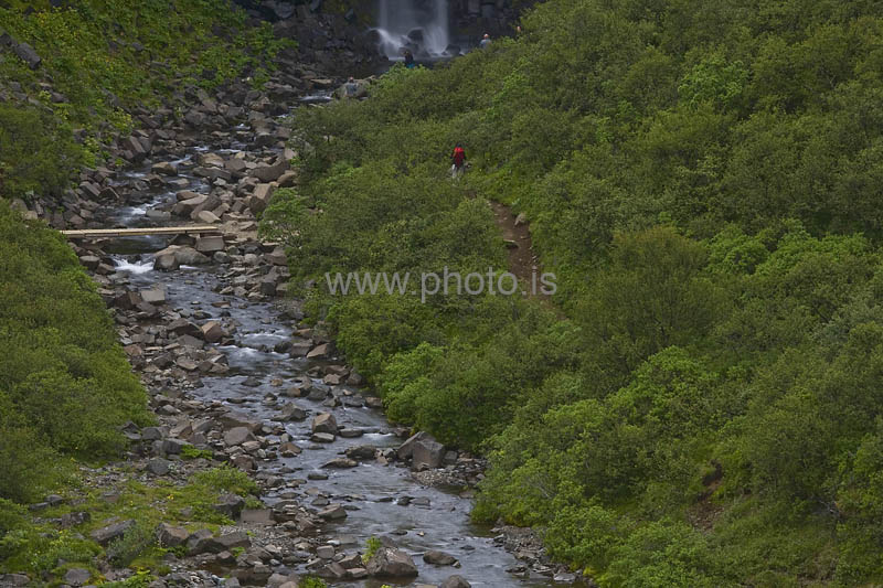 kps06096437