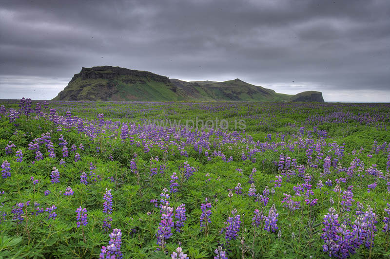 kps06096517_8_9hdr