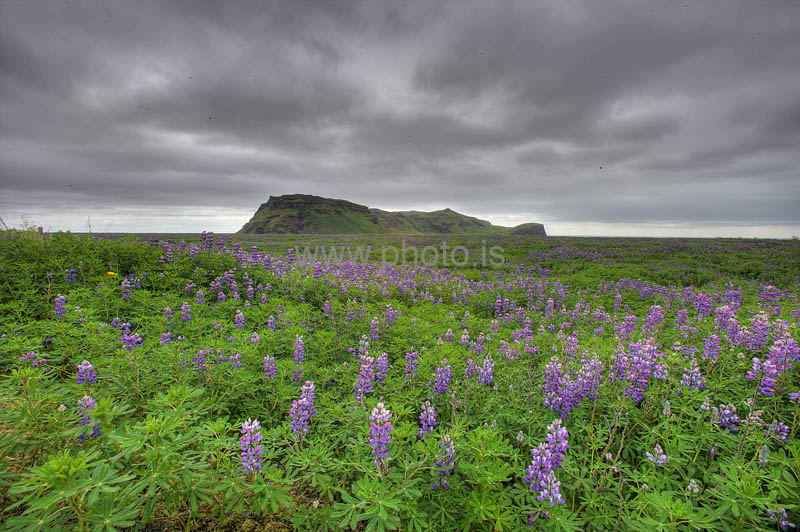 kps06096520_1_2hdr