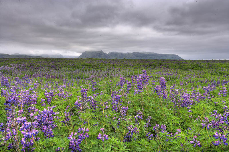 kps06096523_4_5hdr
