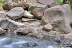 kps06096348_49_50hdr
