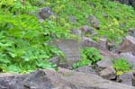 kps06096375_6_7hdr