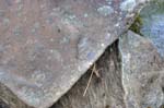 kps06096381_2_3hdr