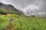 kps06096509_10_11hdr