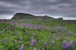 kps06096517_8_9hdr