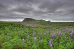 kps06096520_1_2hdr