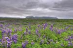 kps06096523_4_5hdr