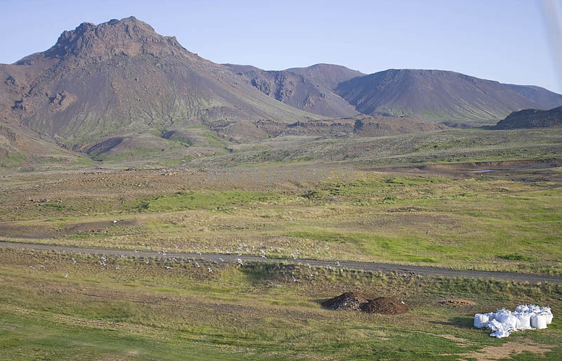 kps06097313