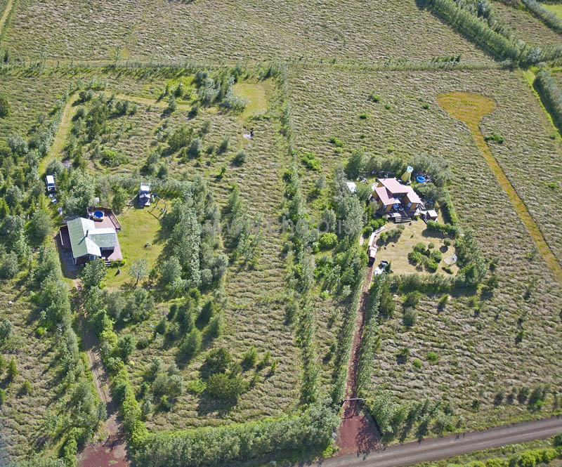 kps06097681