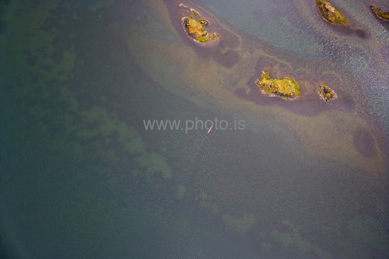 kps06098130