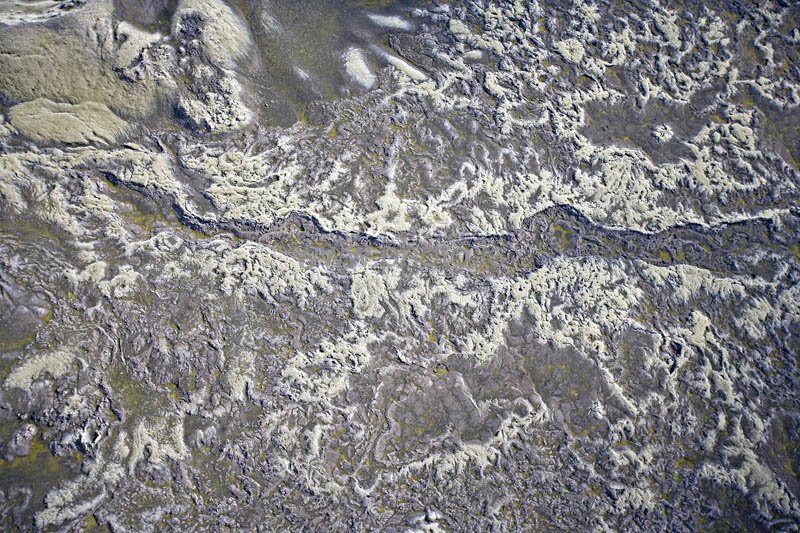 kps06098391