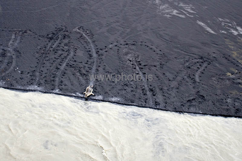 kps06099328