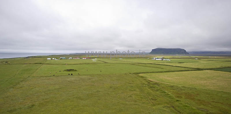 kps06099446