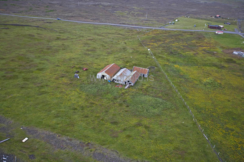 kps06099539
