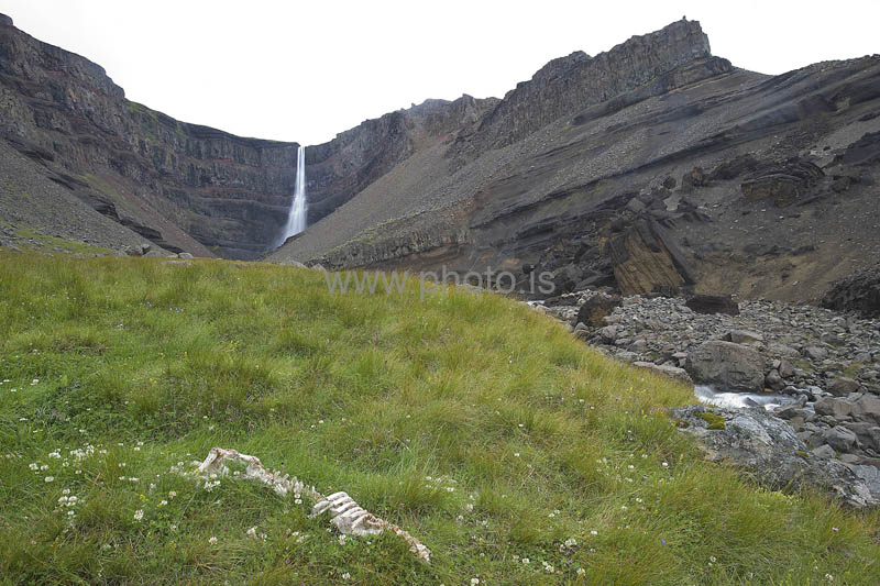 kps07090936