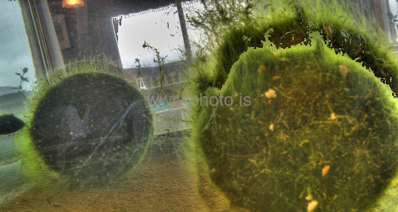 kps07091127_8_9hdr