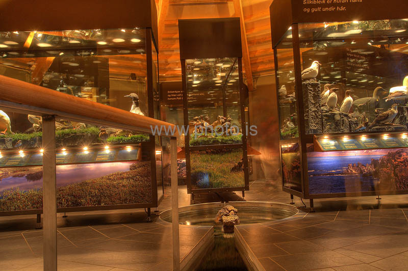 kps07091133_4_5hdr