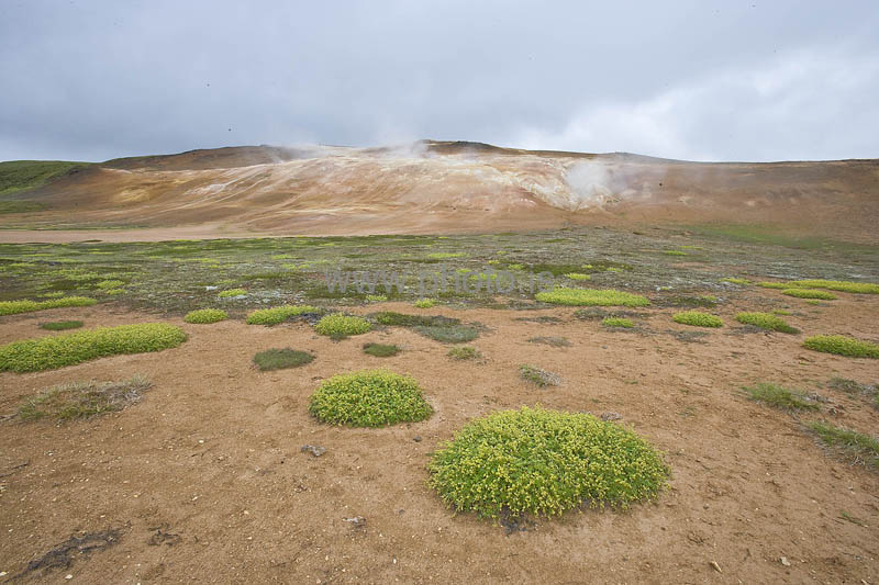 kps07091154