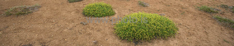kps07091155_3_4hdrp