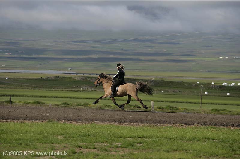 kps070501874