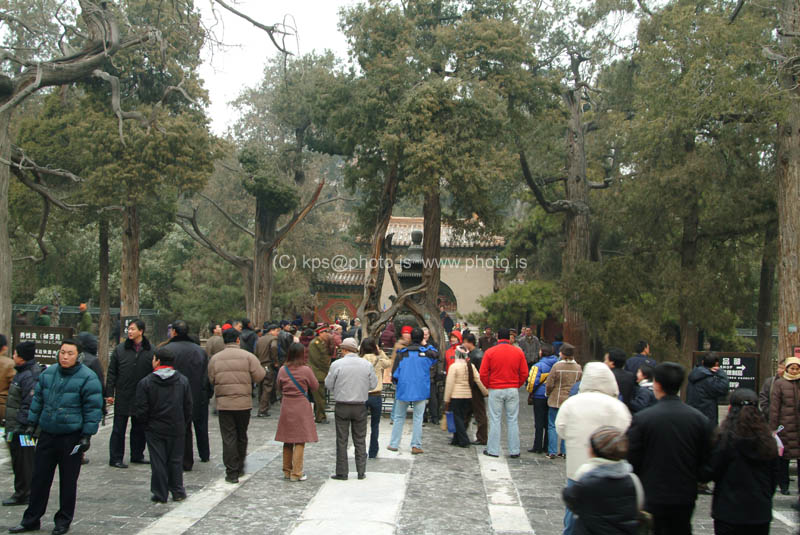 kps1203 399