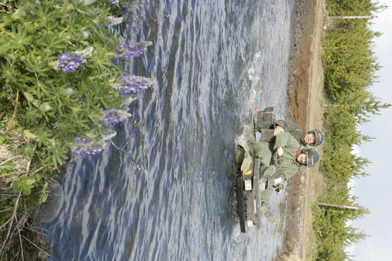kps05051296