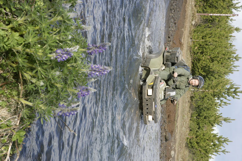kps05051299