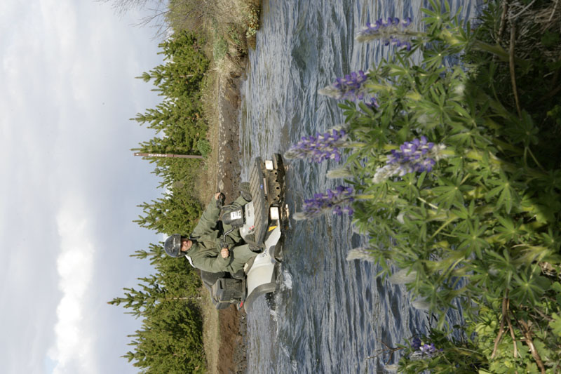 kps05051303