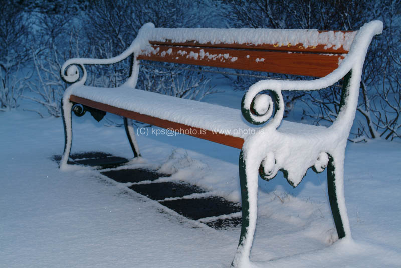 Reykjavik0303 022